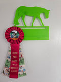 Ribbon display - pleasure horse